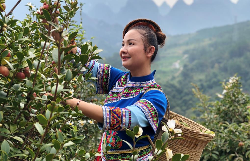 伍香源 采茶姑娘